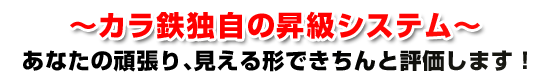 �`�J���S�Ǝ��̏��i�V�X�e���`
