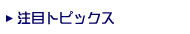 ���ڃg�s�b�N�X