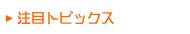 ���ڃg�s�b�N�X