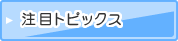 ���ڃg�s�b�N�X