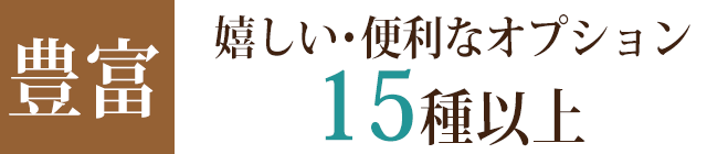 オプション15種以上