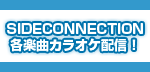 SIDE CONNECTION