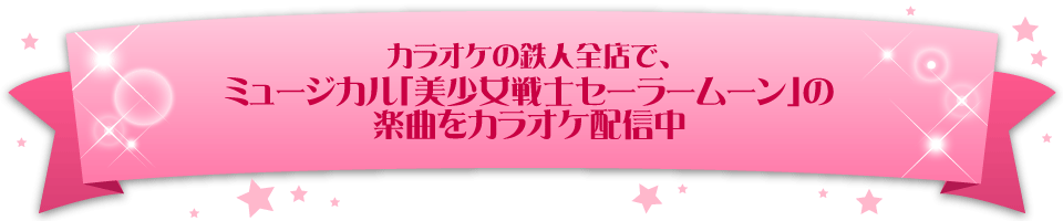 ミュージカル 美少女戦士セーラームーン カラオケの鉄人 カラオケの鉄人 カラオケの鉄人で二次会 パーティ カラオケはコスプレもできるカラ鉄で