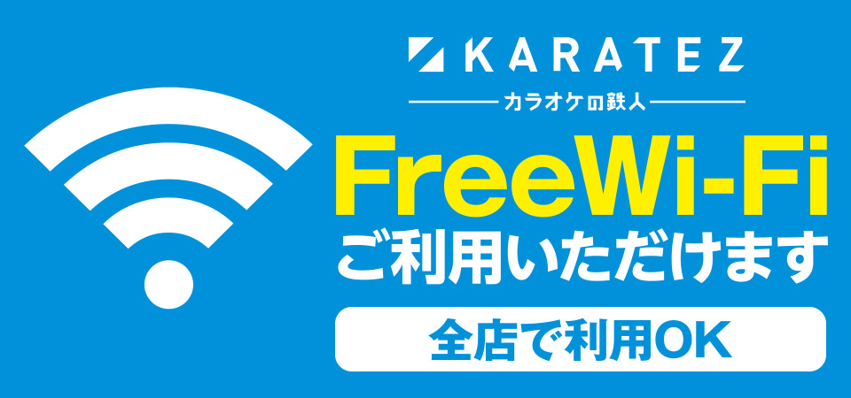 ちょっと違った遊び方 カラオケの鉄人 Wi Fi 充電 Blu Ray Dvdプレーヤーレンタル